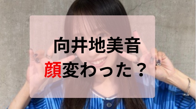 2025最新画像！向井地美音の顔変わった？