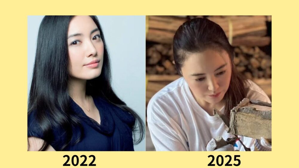 2026最新画像!仲間由紀恵の顔変わった?理由は出産?過去画像と比較検証