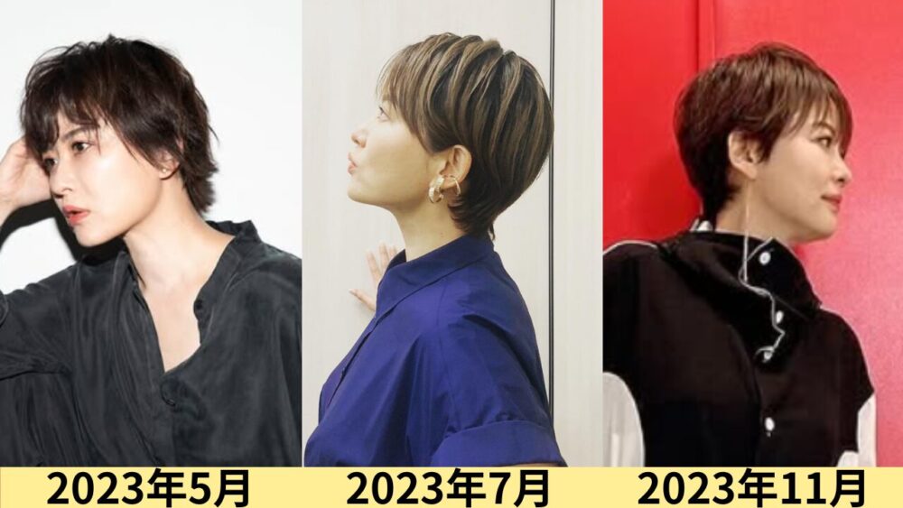 鈴木砂羽顔変わった