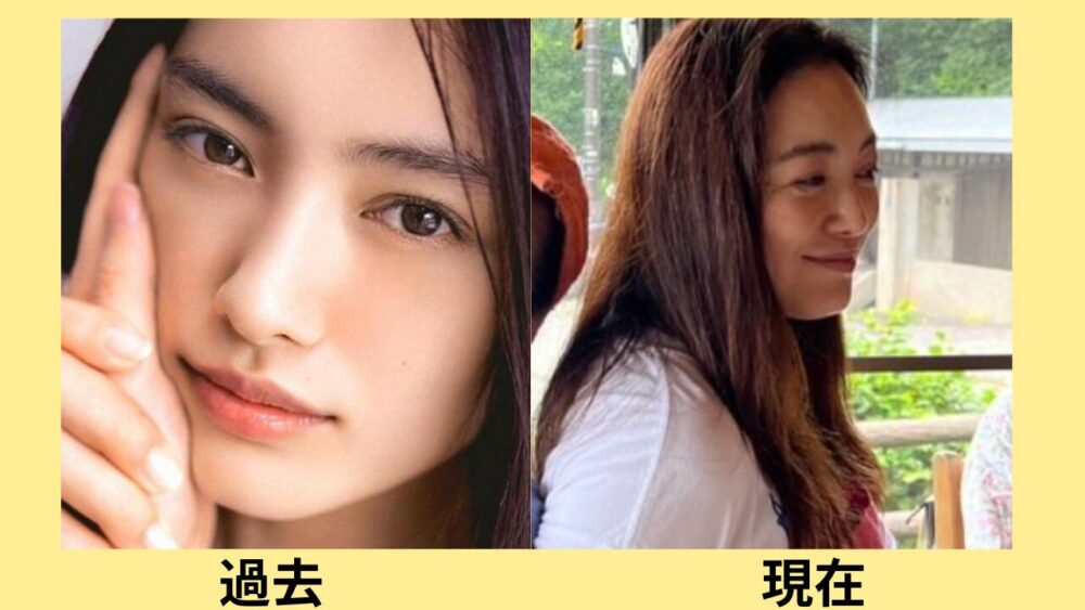 2026最新画像!仲間由紀恵の顔変わった?理由は出産?過去画像と比較検証