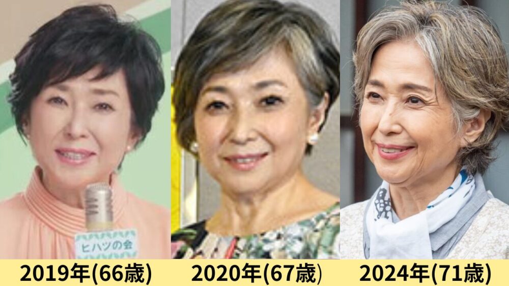 竹下景子顔変わった