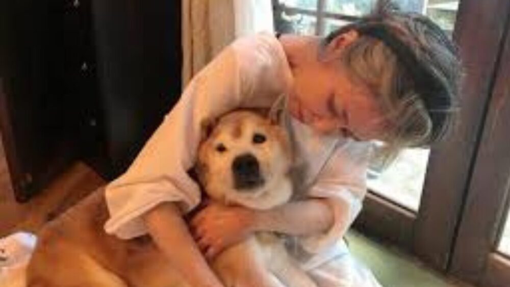 竹下景子顔変わった