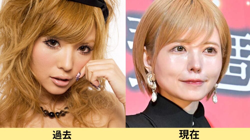 益若つばさ顔変わった