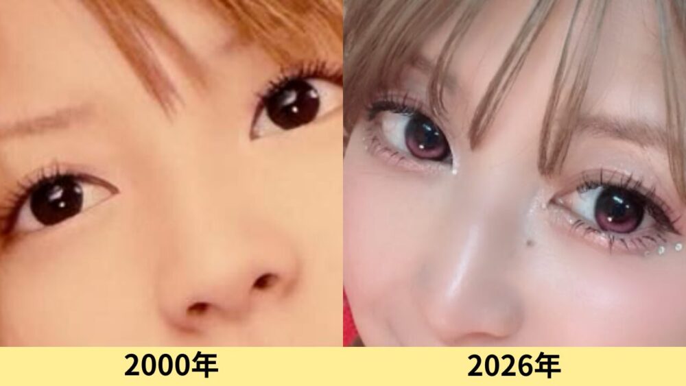 矢口真里　顔変わった