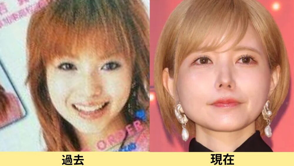 益若つばさ顔変わった