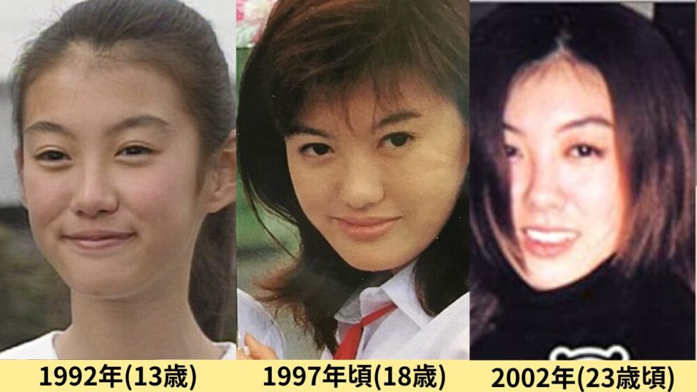 ともさかりえ顔変わった